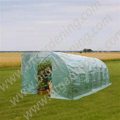 Tinèl Greenhouse ak Roll Up Windows